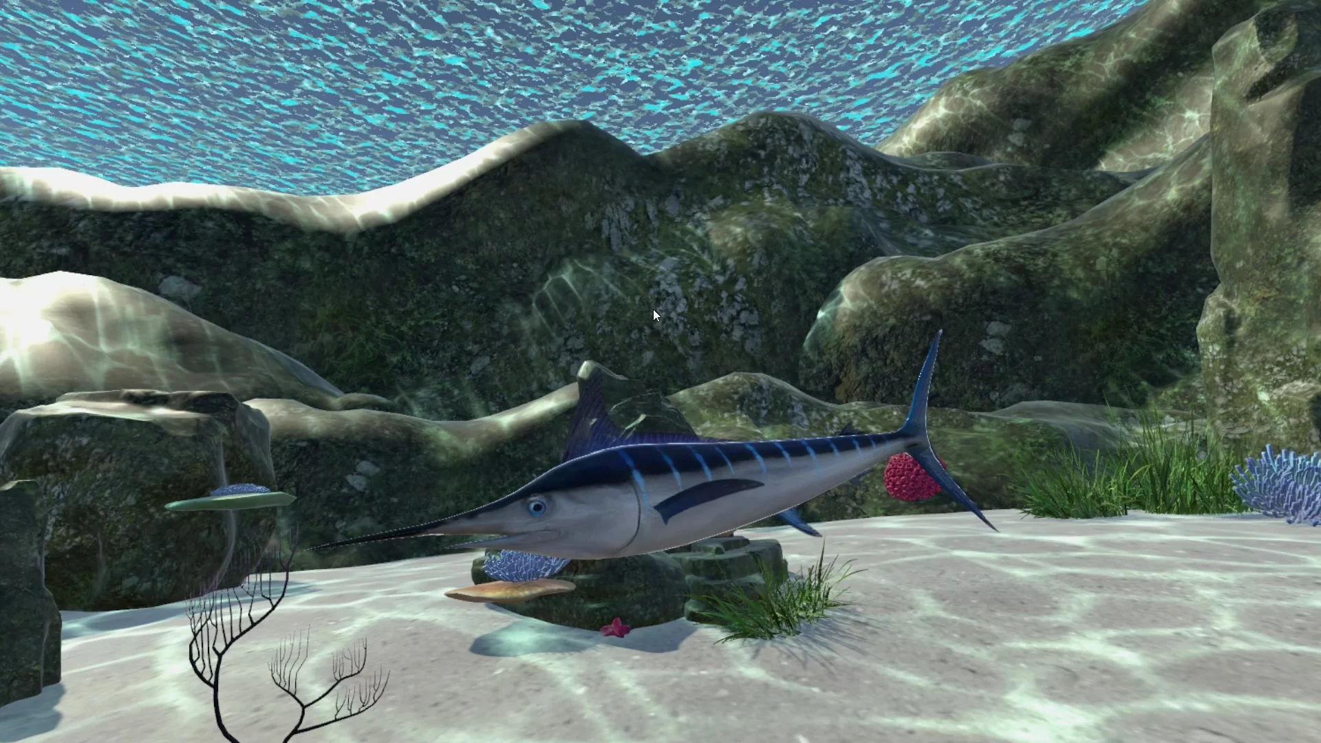 Изображение игры: Real Fishing VR
