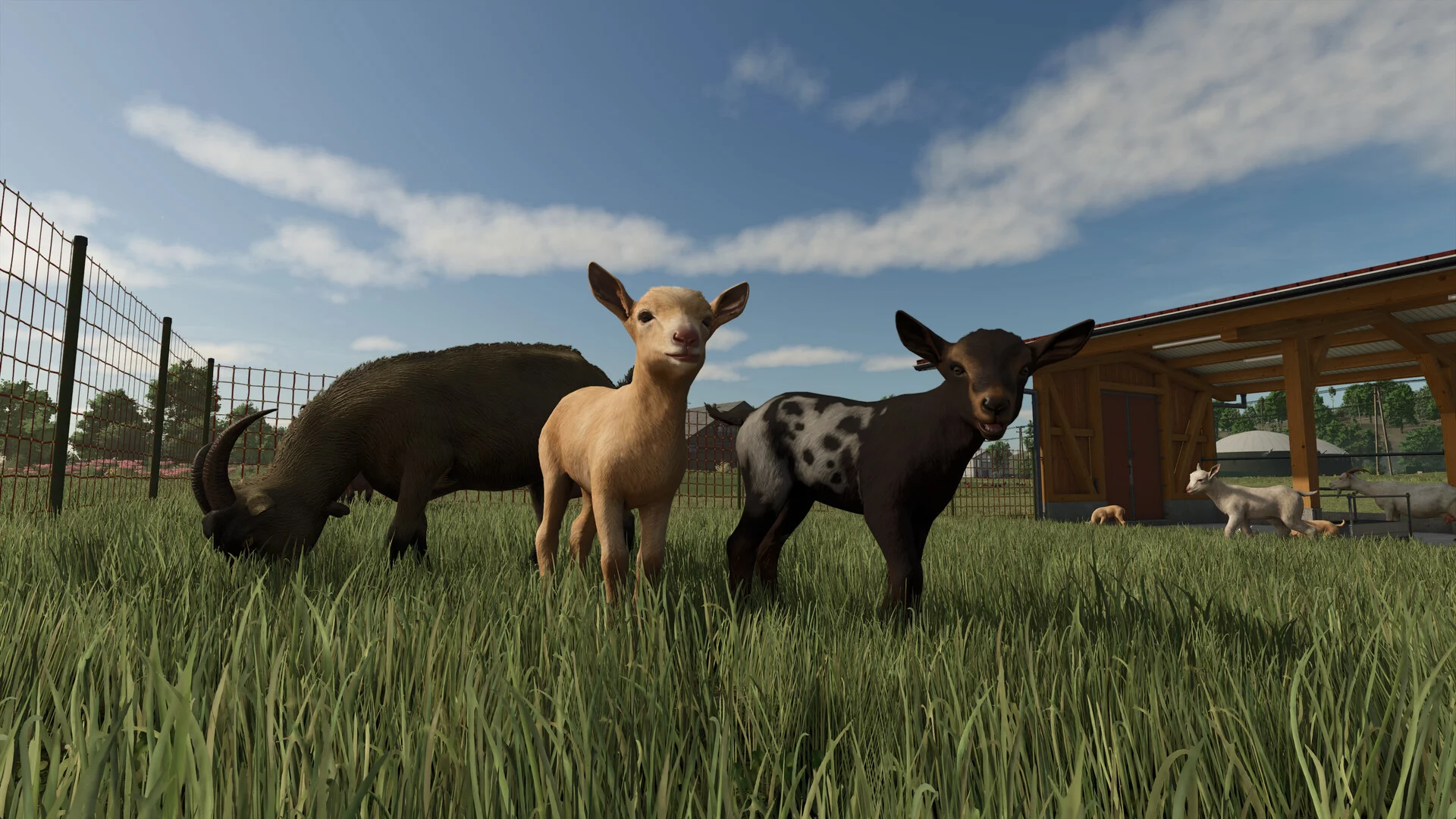 Изображение игры: Farming Simulator 25
