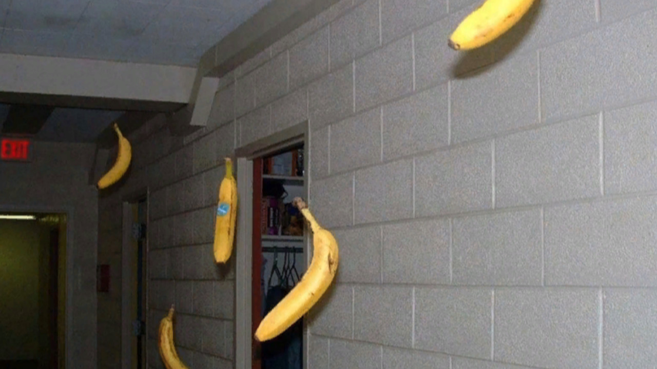 "Аномальные бананы класса Кетер". Автор: D-2407: Фото